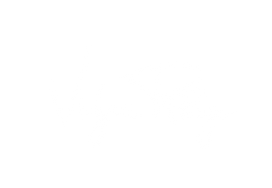 Vvogue Rrage logo white